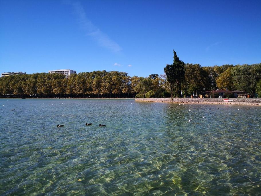 Studio Moderne, Place Parking Prive, Emplacement Ideal A 100 M Du Lac. Annecy Exterior photo